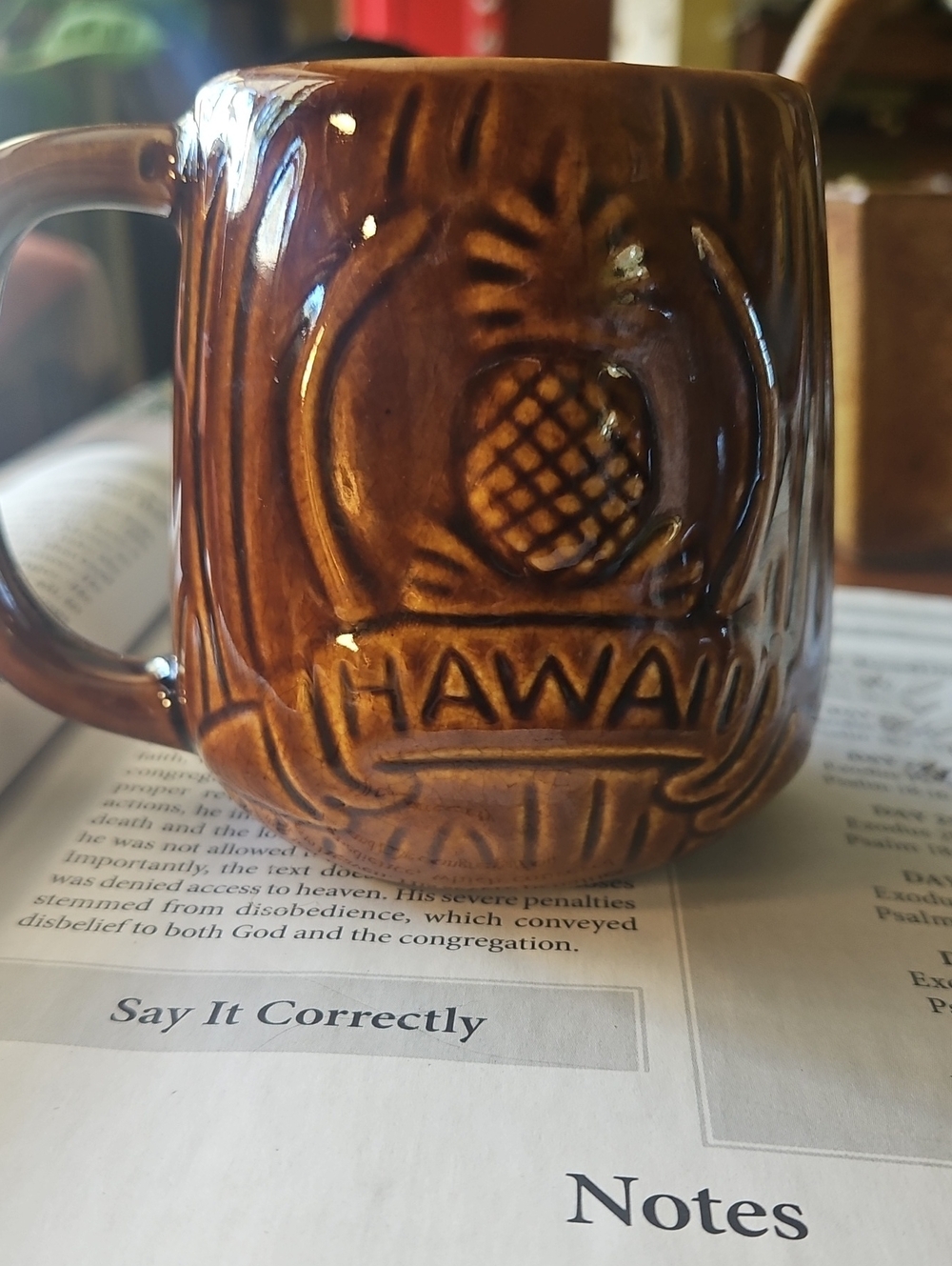 Hawaii Pineapple Ceramic Mug - Brown